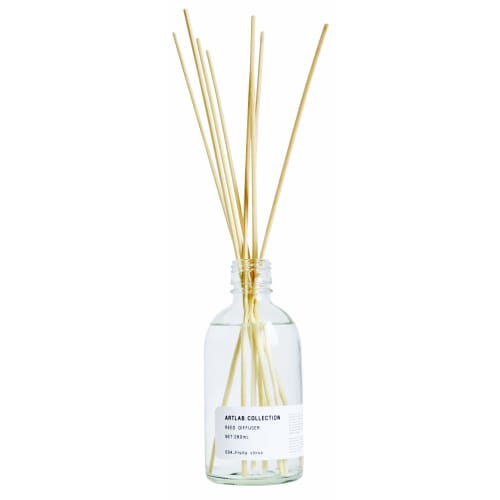 ARTLAB.COLLECTION Reed Diffuser ALBD-004 Fruit Citrus 280mL