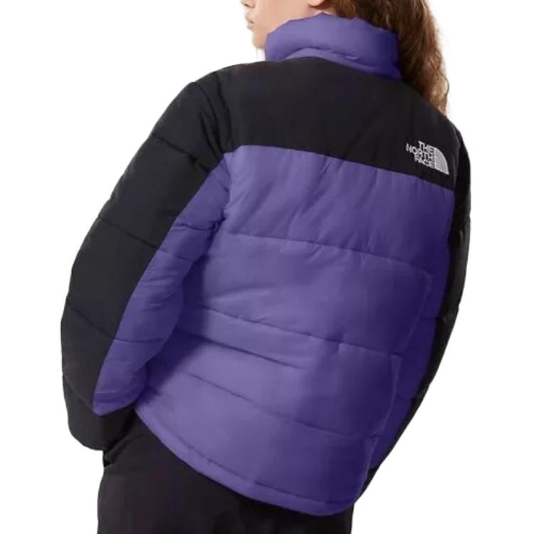 The North Face Puffer Jacket Men's Purple NF0A7RCX-NL4