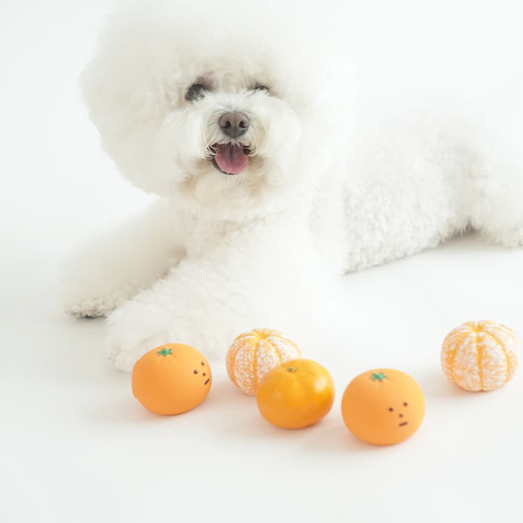 Dingdok Tangerine Ball - Latex Crackling Toy