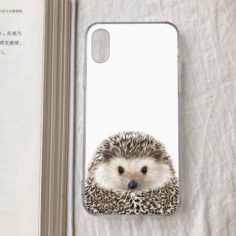 Cute Animal Hedgehog Phone Case for iPhone 11 12 13 mini pro XS MAX 8 7 6 6S Plus X 5S SE 2020 XR case
