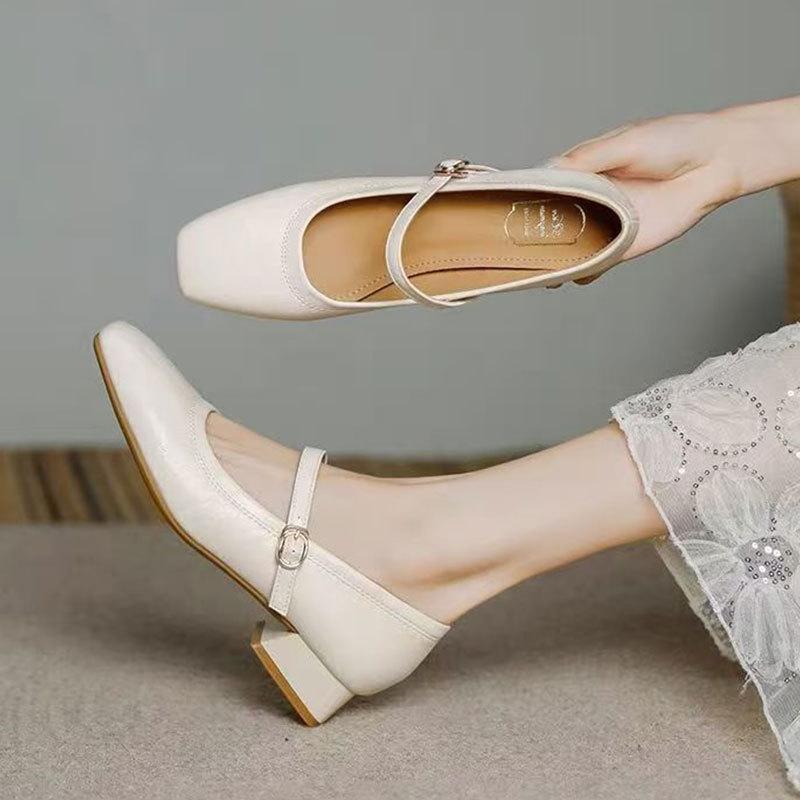 Temperament high heels square head thick heel light mouth single shoes spring 2025 new French retro Mary Jane women's shoes