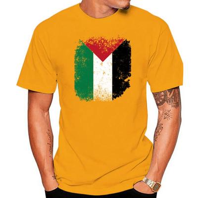 Newest 2022 Unisex T-shirt Fashion Palestine Palestinian National Flag Vintage T-shirt
