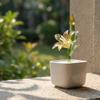 With Flowerpot Glass Flower Bouquet Mini Glass Flower Decor  Wedding Decoration