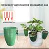 Strawberry Propagation Cups Ventilated Strawberry Plant Starter Cups with And Runner Forks Propagation Containers for Promoting Healthy Growth