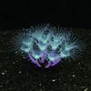 New Simulation Silicone Coral Fish Tank Aquarium Aquascape Decoration Supplies Aquatic Plant Coral Fluorescence Ornaments