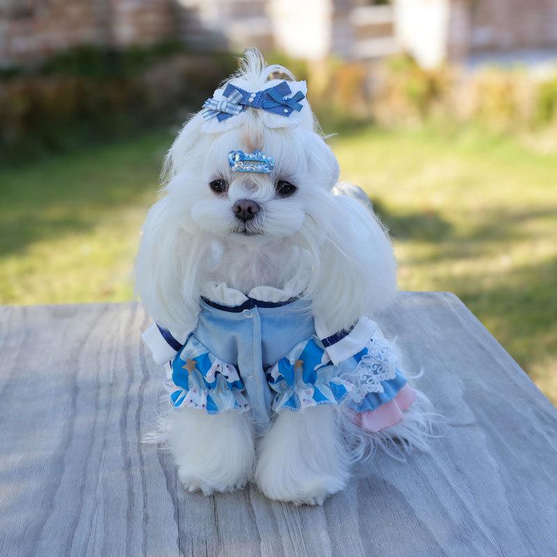 

Dog Cat Lolita Princess Tutu Dress,Tiered Ruffles Lace Adjustable Fancy Party Outfit,Cake Gown Costume For Small Medium Dogs XS синій