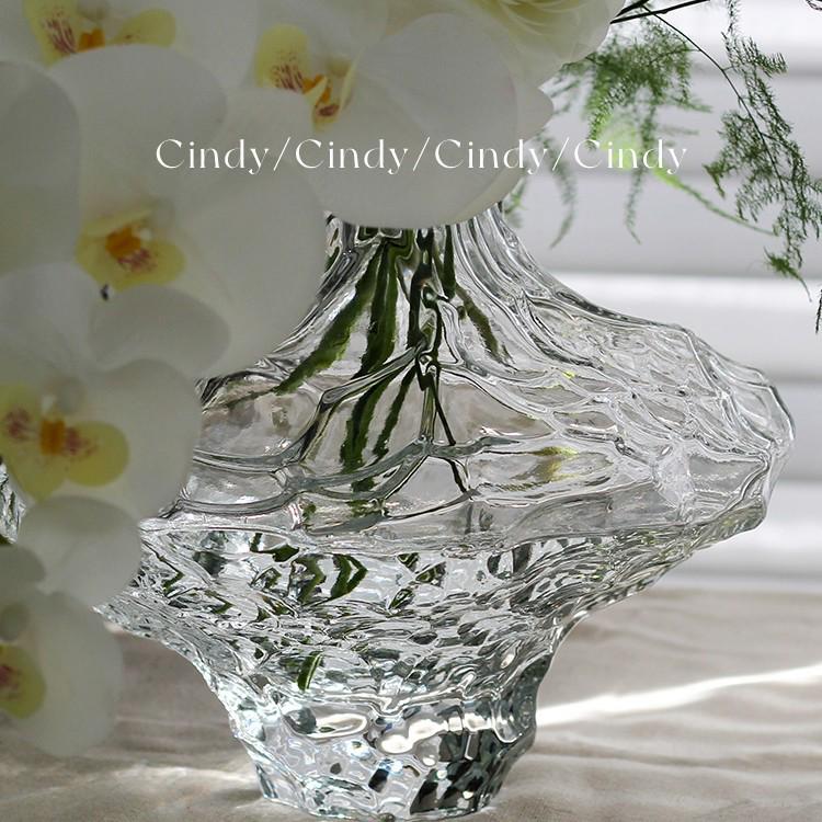 Luxuriöse Glasvase für Hydrokultur-Blumen: Elegante Wohndekoration für das Wohnzimmer