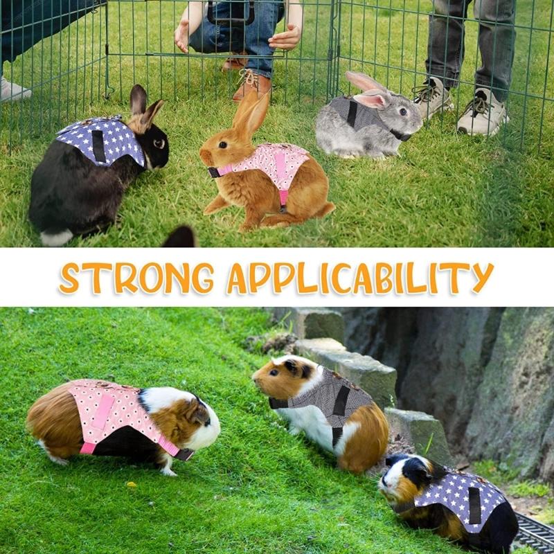 Pet Harness and Leash Small Animal Suit Vest Harness Outdoor Activity Training Small Pet Leash Clothes for Guinea Pigs
