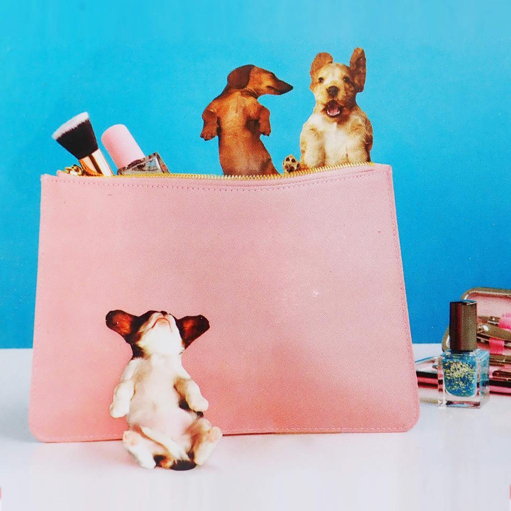 SUCK UK Dog Nail Files (Orange)