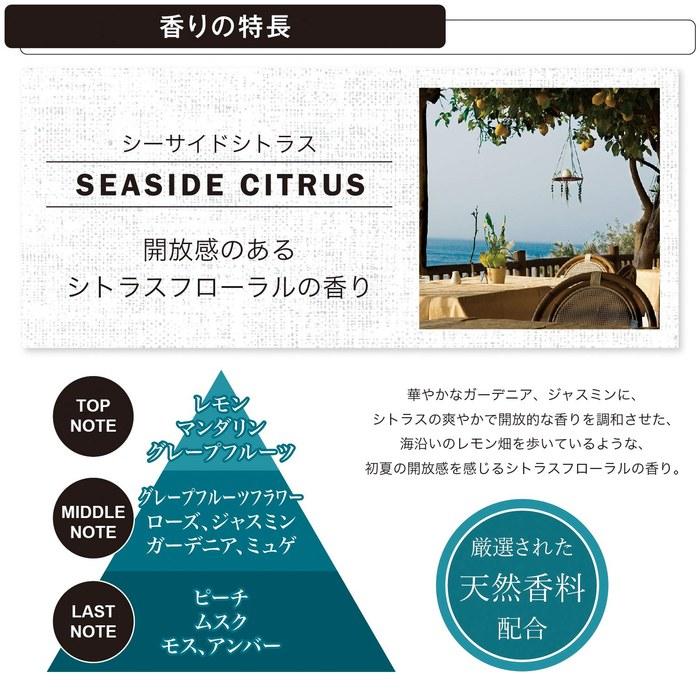 Carmate Car Air Freshener Seaside Citrus Liquid 160ml