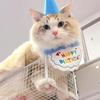Adorable Dog Cat Puppy Birthday Hat & Bandana Set Cat Dog Accessories Pet Birthday Supplies