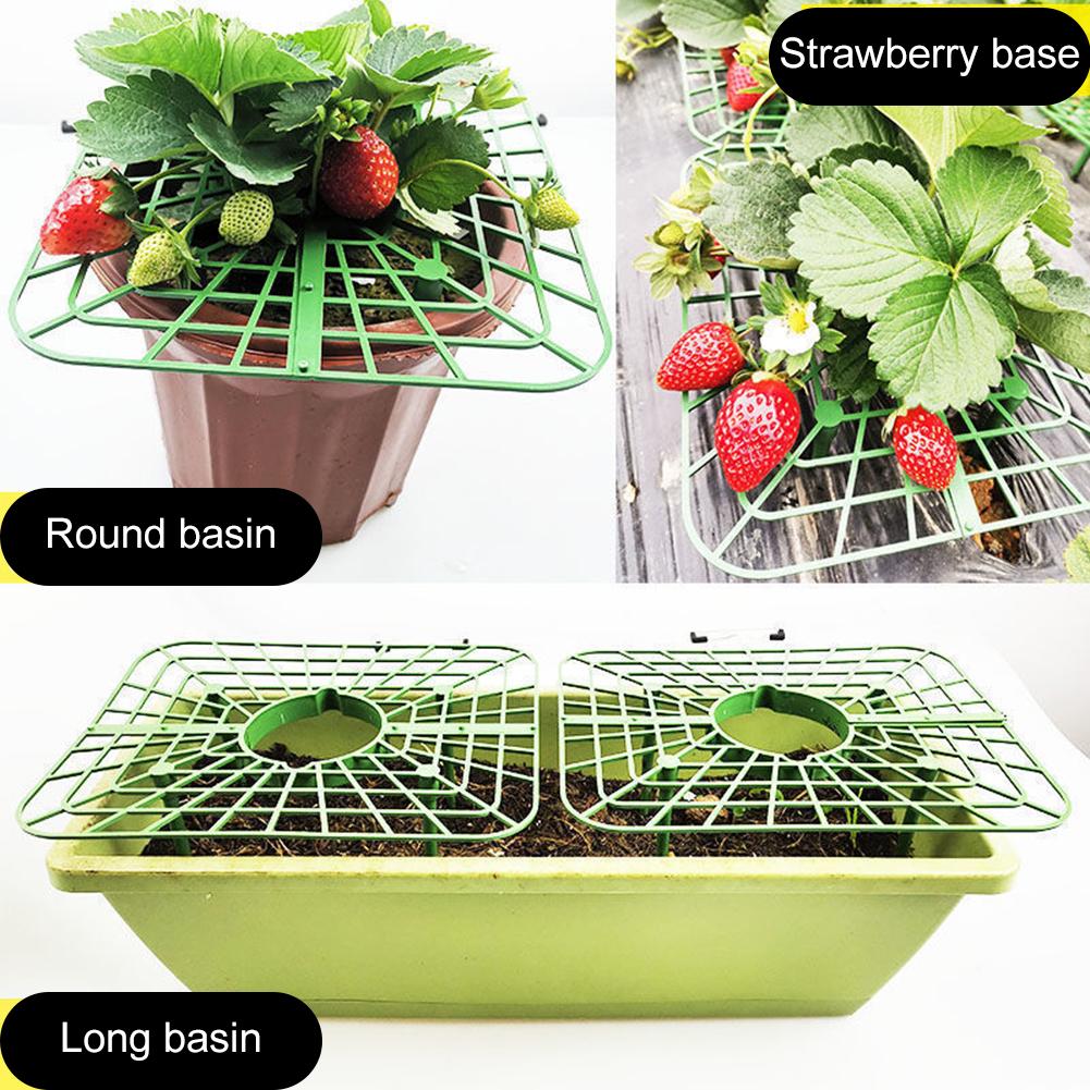 5/10pcs Strawberry Supports Strawberry Plant Support With 4 Sturdy Support Feet Horticultural Support Frame Accessories