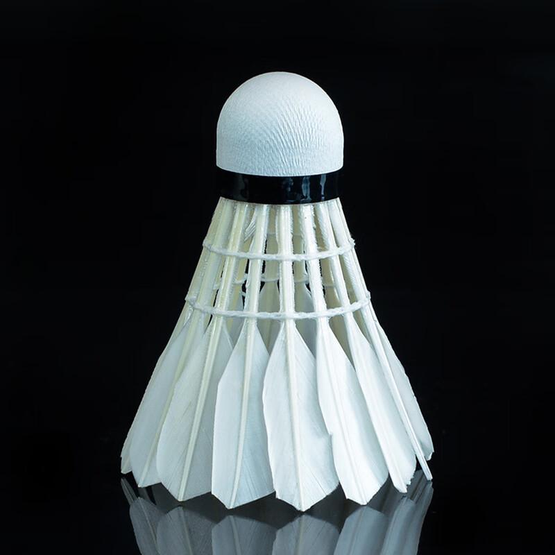 Training Badminton Shuttlecocks