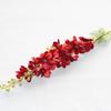 Artificial Flowers Delphinium Flower Branch Fake Leaf for Wedding Decoration Outdoor DIY forHome Decorative Hyacinth Silk Flower