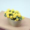 Dollhouse Bonsai Miniature Resin Bonsai Realistic Potted Plant Model Ornament Dollhouse Decoration