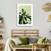 Canvas Print, Green Nature Plant