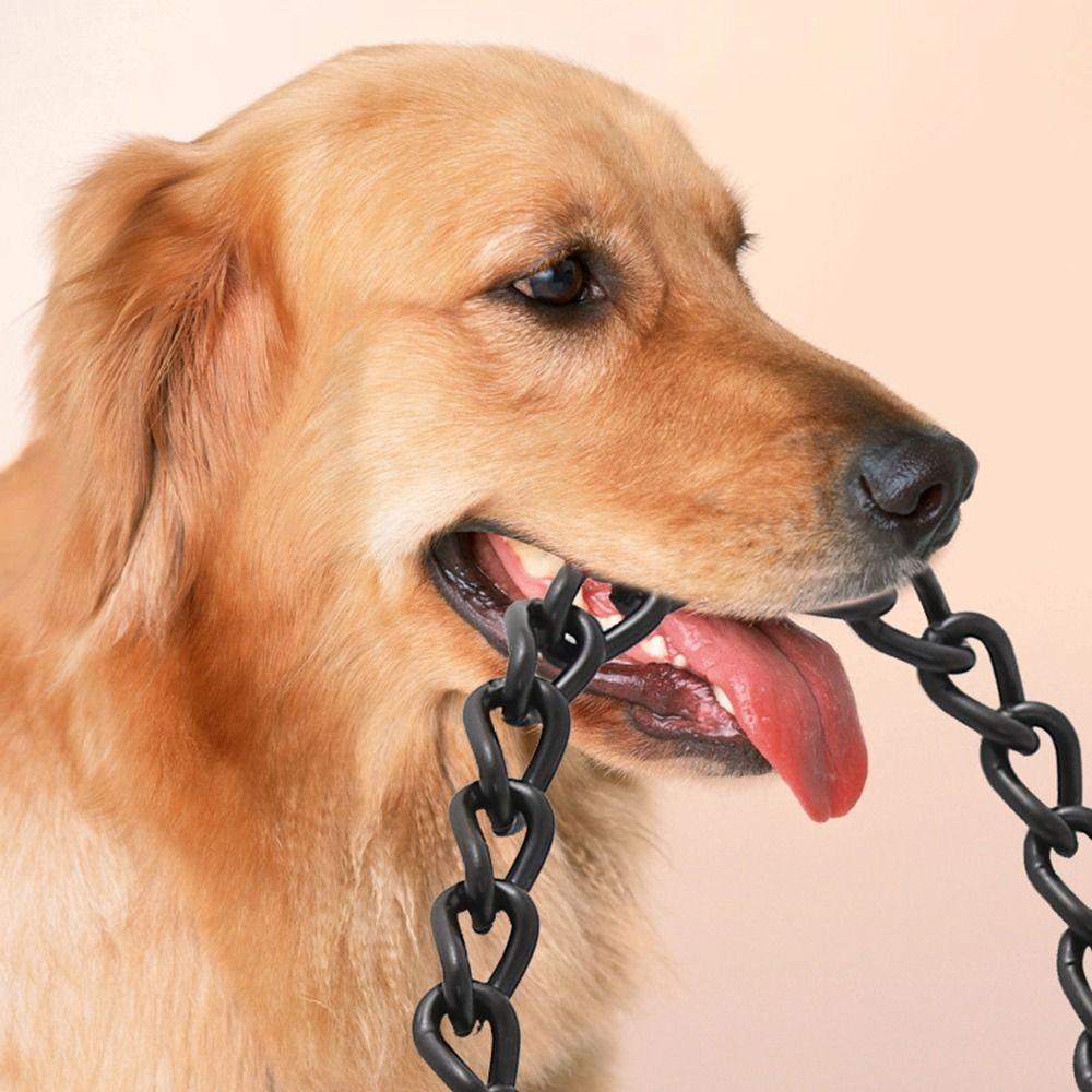 Adjustable Pet Harness Breathable Pet Lead Leash Durable Cat Traction Rope  Walking