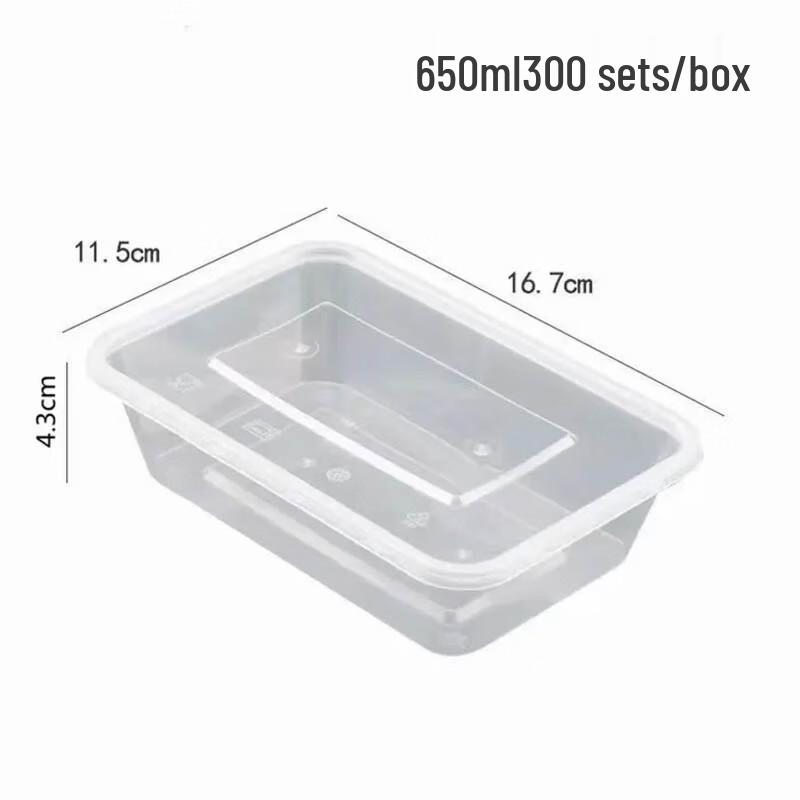 Disposable Transparent Plastic Food Containers with Lids