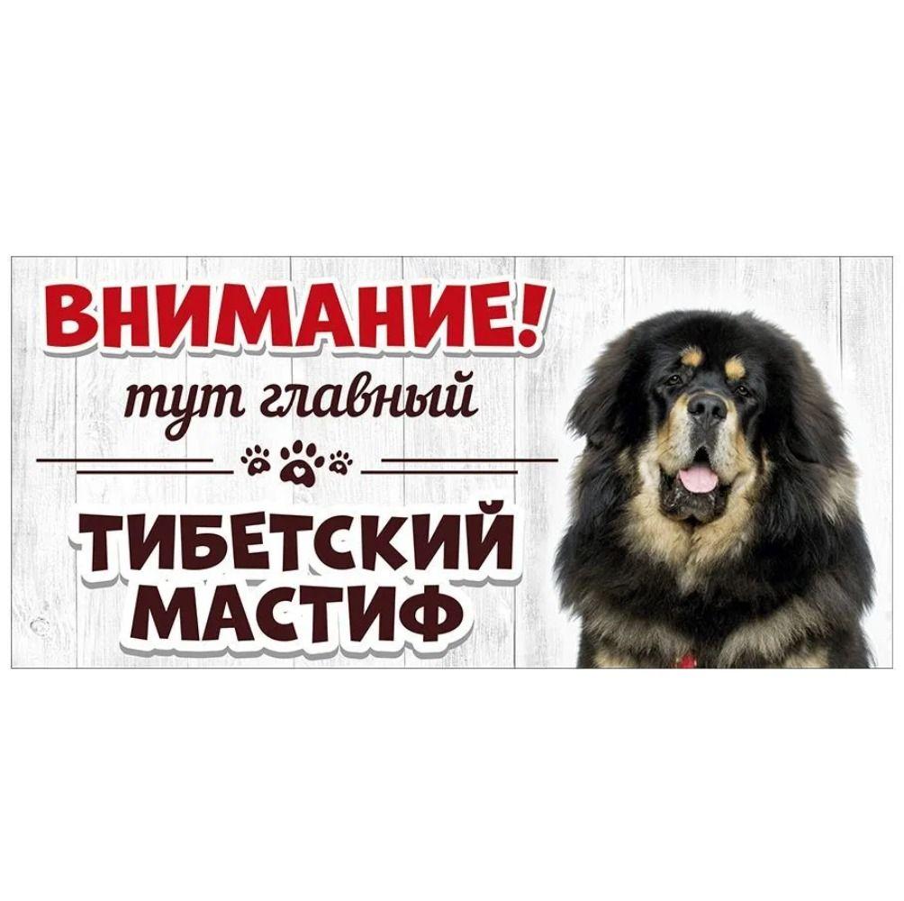 Evil Pomeranian Spitz Sign, Metal Fence Door Plaque 30x15cm