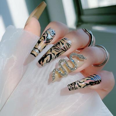 Wąż do paznokci Wykwintny DIY Lekki Nail Art Rhinestone Snake