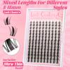 140pcs Fairy Eyelash 8-18mm Manga Eyelash C Curl Upright - Large Span DIY Eyelash Natural Expansion Wet Look Sharp Anime Eyelash