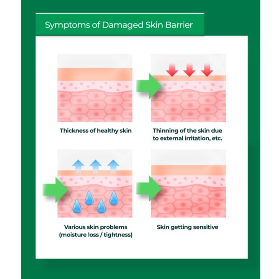 Bio Heal Boh Panthecell Repair Cica Cream 50ml