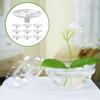 Transparenter schwimmender Blumenhalter 10-teiliges Set Hydroponischer Stiel-Präsentations-Organizer für Vasen, Schwimmender Blumenstecker für Heimdekoration