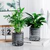 Transparent Hydroponic Flowerpot Resin Small Flowerpot For Plants And Flowers Interior Decoration Bubbles