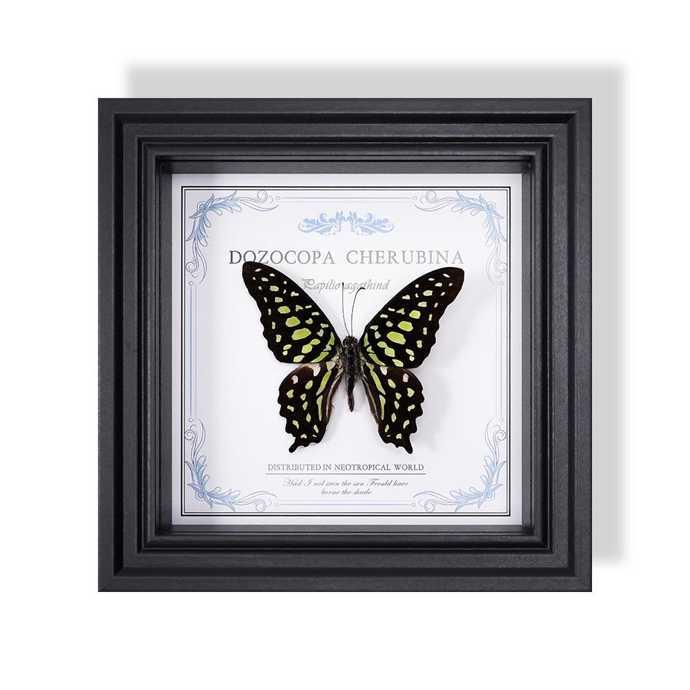 Wall-Mounted Butterfly Specimen Photo Frame: Home Decor & Gift for Valentine's Day, Qixi, Birthday, Couples & Insect Lovers