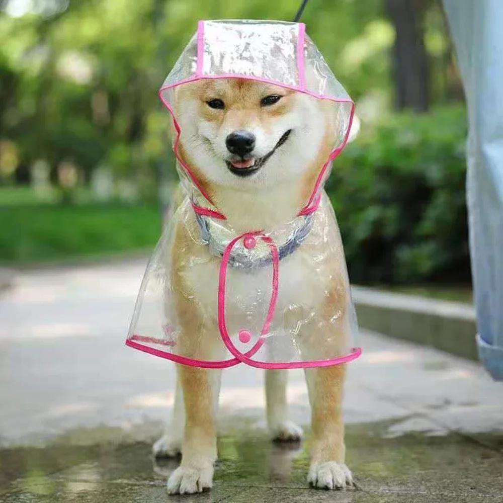 Genomskinlig Regnrock för Husdjur Regnjacka Vattentät Päls för Små Mellanstora Hundar Teddy Shiba Hund Poncho Utomhuspromenader Husdjurskläder