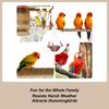 Small Hummingbird Feeder Leak-Proof Water Bowl Wild Bird Feeders With 3 Feeding Ports For Pets Garden Patio Yard Lawn Wildlife