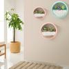 Succulent Planter Durable Decorative Leakproof Hanging Hydroponic Styles Pot for Balcony