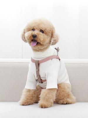 MAISON DE MIU Harnais Running Mate Rose Pâle/Marron