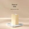 Xiaomi S400 Smart Body Fat Scale with Heart Rate Monitor
