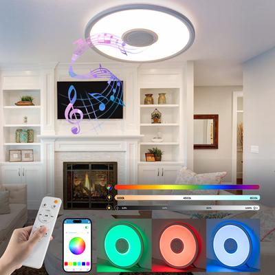 RGB Bluetooth Music Ceiling Light Mobile App Smart Led Living Room Bedroom Colorful Ambient Light