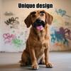 Vêtements et chaussures – Accessoires pour chien