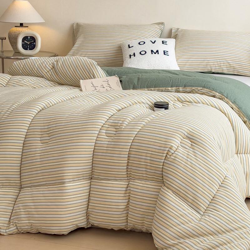 Fanshun Minimalist All-Season Comforter