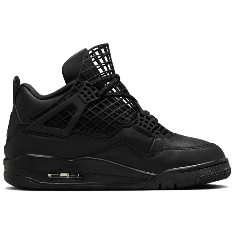 Jordan 4 Retro Net Black Women's FN7251-001