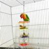 Parrot Foraging Toy: Acrylic Fruit Birdcage Accessory - Educational and Cute Bird Toy