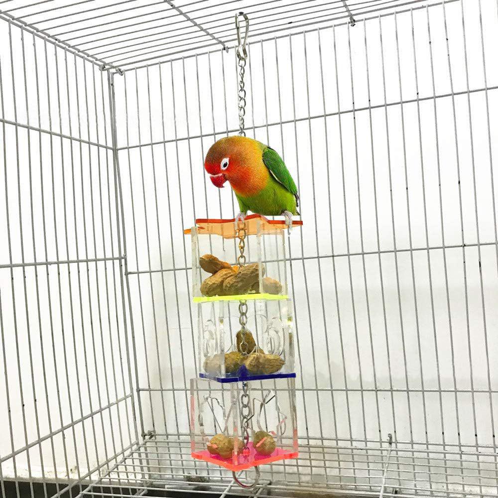 Parrot Foraging Toy: Acrylic Fruit Birdcage Accessory - Educational and Cute Bird Toy