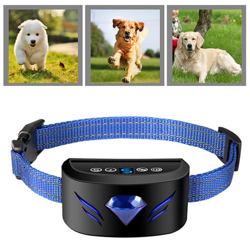 electric barking collar