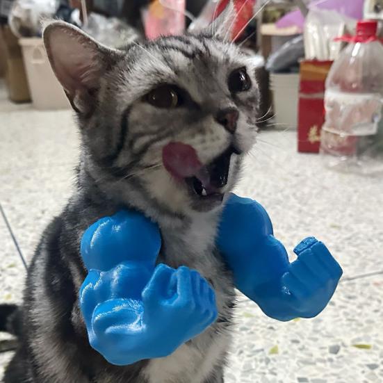 Braț Muscular de Pisică Braț de Gât Imprimat 3D cu Mușchi Animal de Companie Accesorii Costum Cosplay pentru Halloween Consumabile pentru Petrecere de Ziua de Naștere