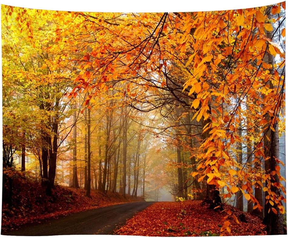 Landscape Tapestry Autumn Season Fall Trees with Morning Fog in Forest Relaxing Art Nature Photo Home Wall Hanging Decro for