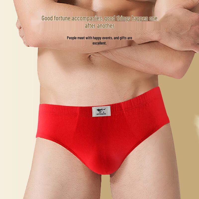 Seven Brand Men's Lucky Red Pure Cotton Briefs (4-Pack)