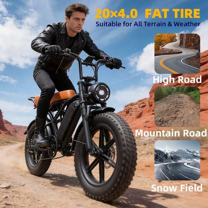 Toofly G20 All-Terrain E-Bike with 48V 15.6Ah Battery, 7-Speed Gear