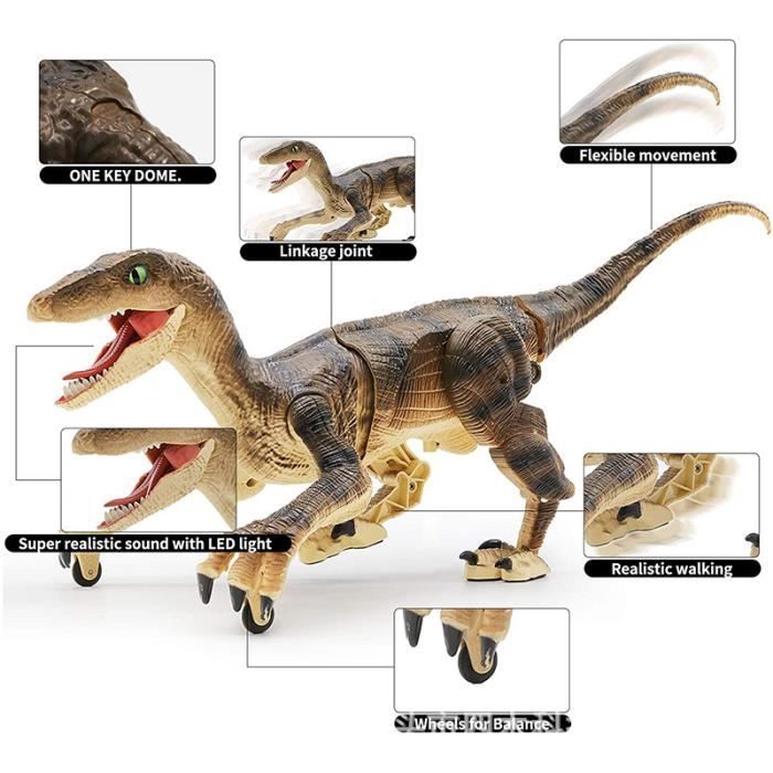 Jouet dinosaure télécommandé - ZGEER - Velociraptor - Lumière LED - Sons réalistes - 3 ans et plus
