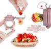 Silicone Baby Fruit Feeder & Teether