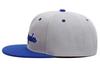 Sproutsy Herren Baseballkappe, Stilvoll, Street Casual, Beliebte Flatcap, Los Angeles (Grau)