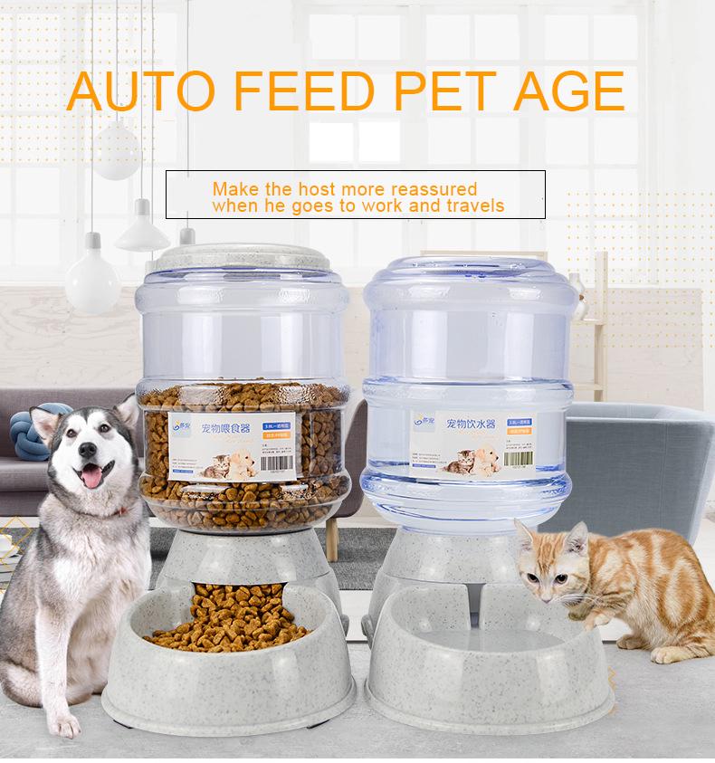 auto feed pet