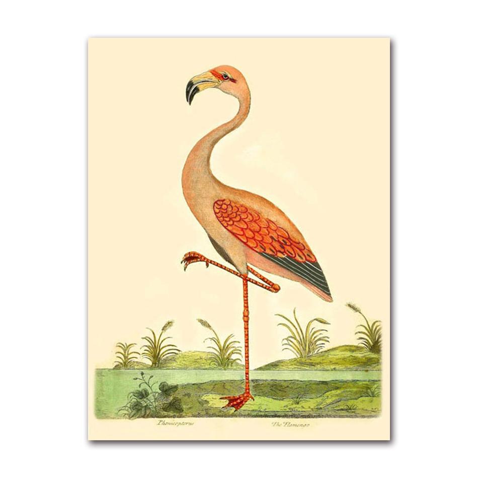 Vintage Bird Prints Flamingo Poster Wall Art Nature Animal Lover Gift Home Room Tropical Decoration Canvas Painting 21X30CMNo Framed